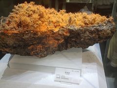 -湖南省地质博物馆