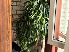 -慢丽江·云南野生菌土鸡锅(付家庄店)