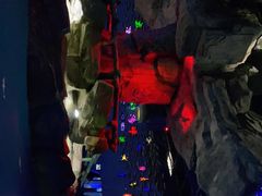 -泉城欧乐堡海洋极地世界