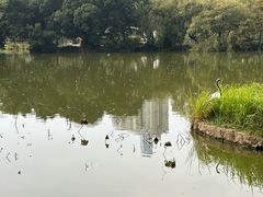 -人民公园(罗湖区)