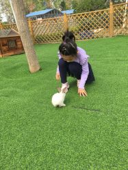 -萌宠亲子动物乐园(槐房万达店)