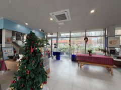 -Cetus coffee鲸鱼座咖啡·拼豆(二仙桥公园店)