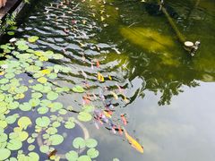 -宝界普菲特湖畔酒店