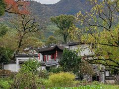 -塔川景区