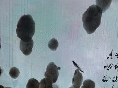 -桃园眷村(万象天地店)