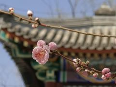 -颐和园