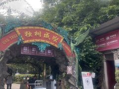 -独树成林