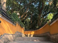 -普陀山风景名胜区-法雨禅寺