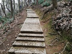 -上海佘山国家森林公园天马山园