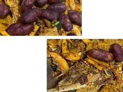 -嘎嘎鸭下巴·爆辣干锅(明教寺店)