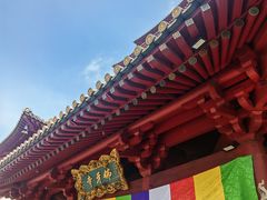 -新加坡佛牙寺龙华院