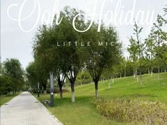 -瀛海足球主题公园