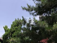 -大钟寺古钟博物馆
