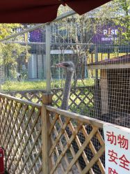 -萌宠亲子动物乐园(槐房万达店)