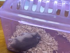 -龙猫仔乐园(惠福东路店)