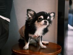 -Joymean coffee.见面咖啡