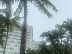 -三亚太阳湾柏悦酒店