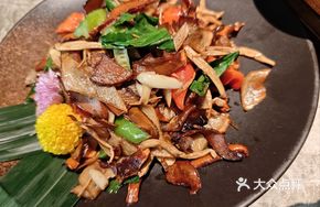 Mountain Mushrooms Mixed Delicacy