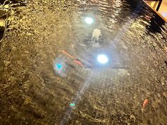 -杭州国际会议中心洲际酒店-原素全日餐厅(解放东路店)