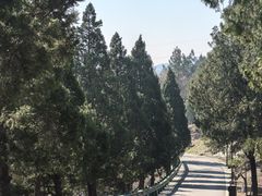 -白水寺森林公园
