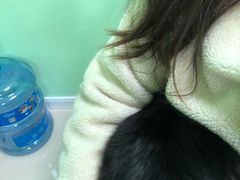 -圣宠动物医院·犬猫专科·影像中心·外科中心