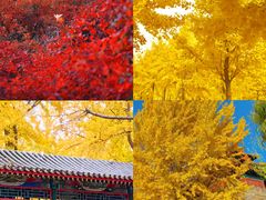 -钓鱼台国宾馆