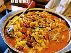 热血肥肠蛙-锅聚侠(泉秀店)