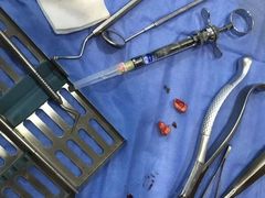 -极光口腔·矫正种植修复(锦江院区)