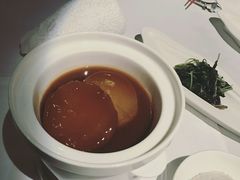 蜜汁萝卜-西郊5号·Maggie 5