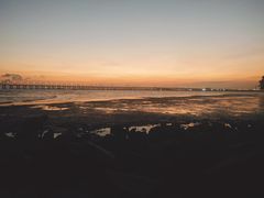 -宝安西湾红树林湿地公园