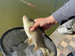 -酷鱼垂钓CLUB(朝阳区博大路店 )