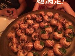 -金蜗牛