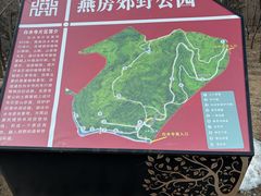 -白水寺森林公园
