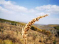 -塞罕坝国家级自然保护区