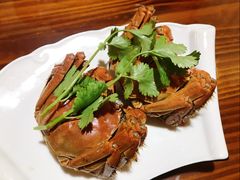 -呼吸森林·生态农庄农家乐私房菜