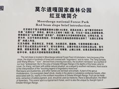 -莫尔道嘎国家森林公园