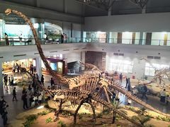 -自贡恐龙博物馆