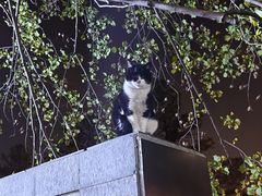 -同济大学(嘉定校区)