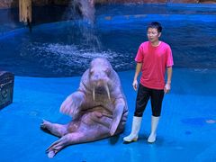 -烟台海昌鲸鲨海洋公园