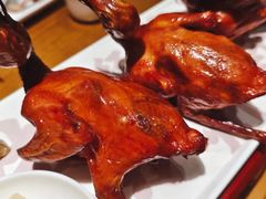 -大鸽饭(岗顶店)