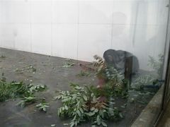 android_upload_pic-西安秦岭野生动物园