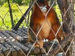 -哈尔滨北方森林动物园