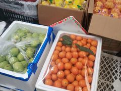-西郊国际农产品交易中心