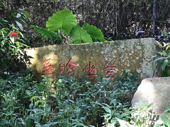 -燕晗山郊野公园