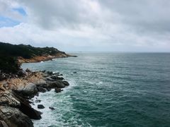 -广东惠东海龟国家级自然保护区