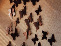 -白兔子密室(长寿路店)