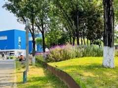 -宜家家居(高新商场店)