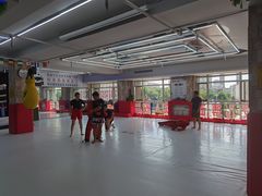 -津武堂散打搏击俱乐部(河西店)