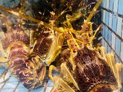 -马王堆海鲜水产市场