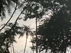 -Co+Nut+Ink(圣淘沙店)